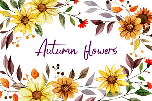 Autumn Flowers. Watercolor