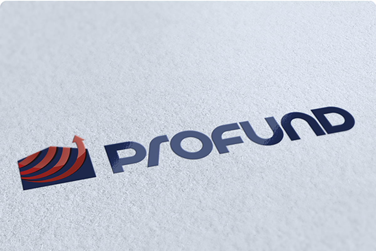 ProFund Logo Design, a Branding & Logo Template by free2fonts (Photo 1 of 5)