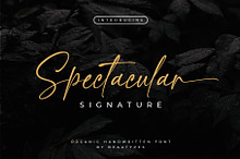 Spectacular Signature Font