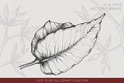 Eucalyptus Illustrations & Extras, an Illustration by Valeryia Aranovich (Thumbnail 3 of 6)