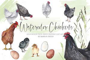 Farm Chickens Watercolor Clipart Set