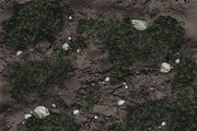 Zbrush - Grass, Mud, Puddles, an Environmental 3D Model by PurePolygons (Thumbnail 1 of 3)