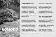 Malnor Sans Font Family, a Sans Serif Font by Sikifonts (Thumbnail 8 of 11)