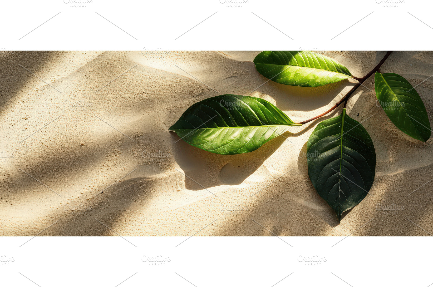 Tropical green leaves on sunlit, a Nature Photo by piter.goskov