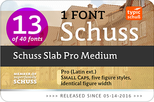 SchussSlabProMedium No.13 1 Font