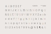 Boom Nerthil - Aesthetic & Modern, a Slab Serif Font by Fype Co. (Thumbnail 6 of 6)