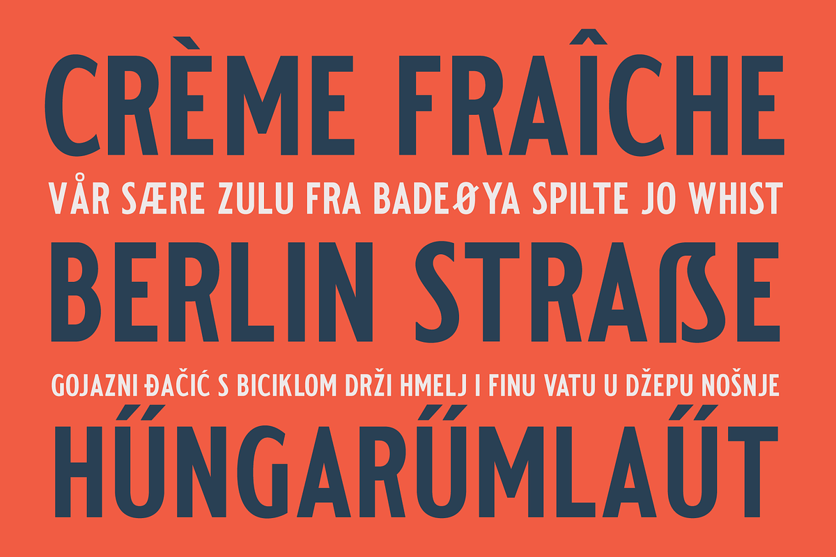 Old Bowman Sans & Serif, a Serif Font by The Old Type Foundry (Photo 9 of 12)
