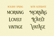 Holiday Spring - Display Serif Font, a Serif Font by Airotype (Thumbnail 2 of 12)