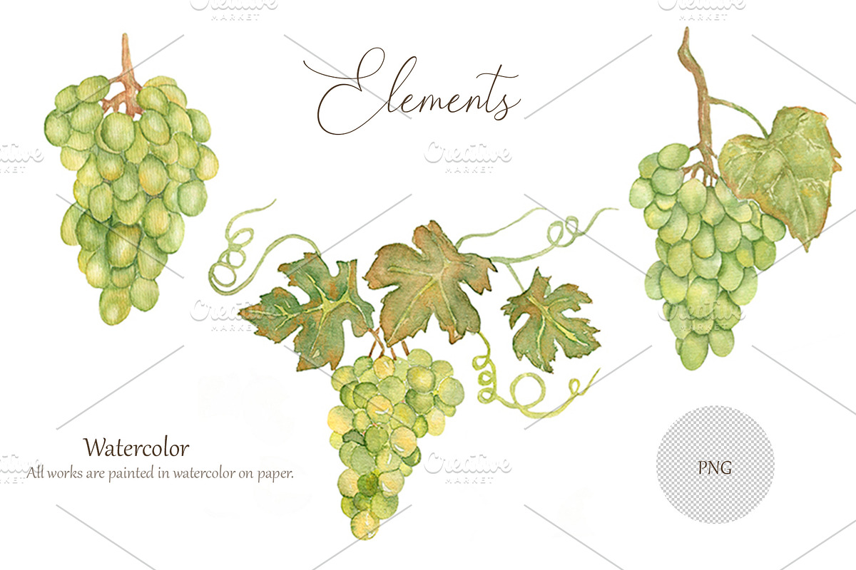 Watercolor Grapes, a Food Illustration by MayaNavits (Photo 4 of 15)