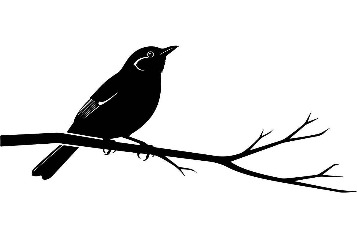 Universal Life Silhouette Collection, a Person Illustration by Designer_Momina (Photo 24 of 50)