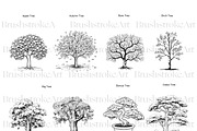 Tree Silhouette Clipart, Bonsai Tree, an Illustration by BrushstrokeArtGB (Thumbnail 5 of 10)