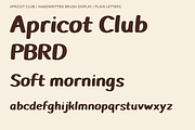 Apricot Club Bold Handwritten Brush, a Handwritten Font by Colorsfav (Thumbnail 7 of 11)