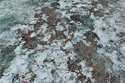 AUTUMN AND WINTER TEXTURE PACK, a Textures & Material 3D Model by Beatheart Creative Studio (Thumbnail 28 of 58)