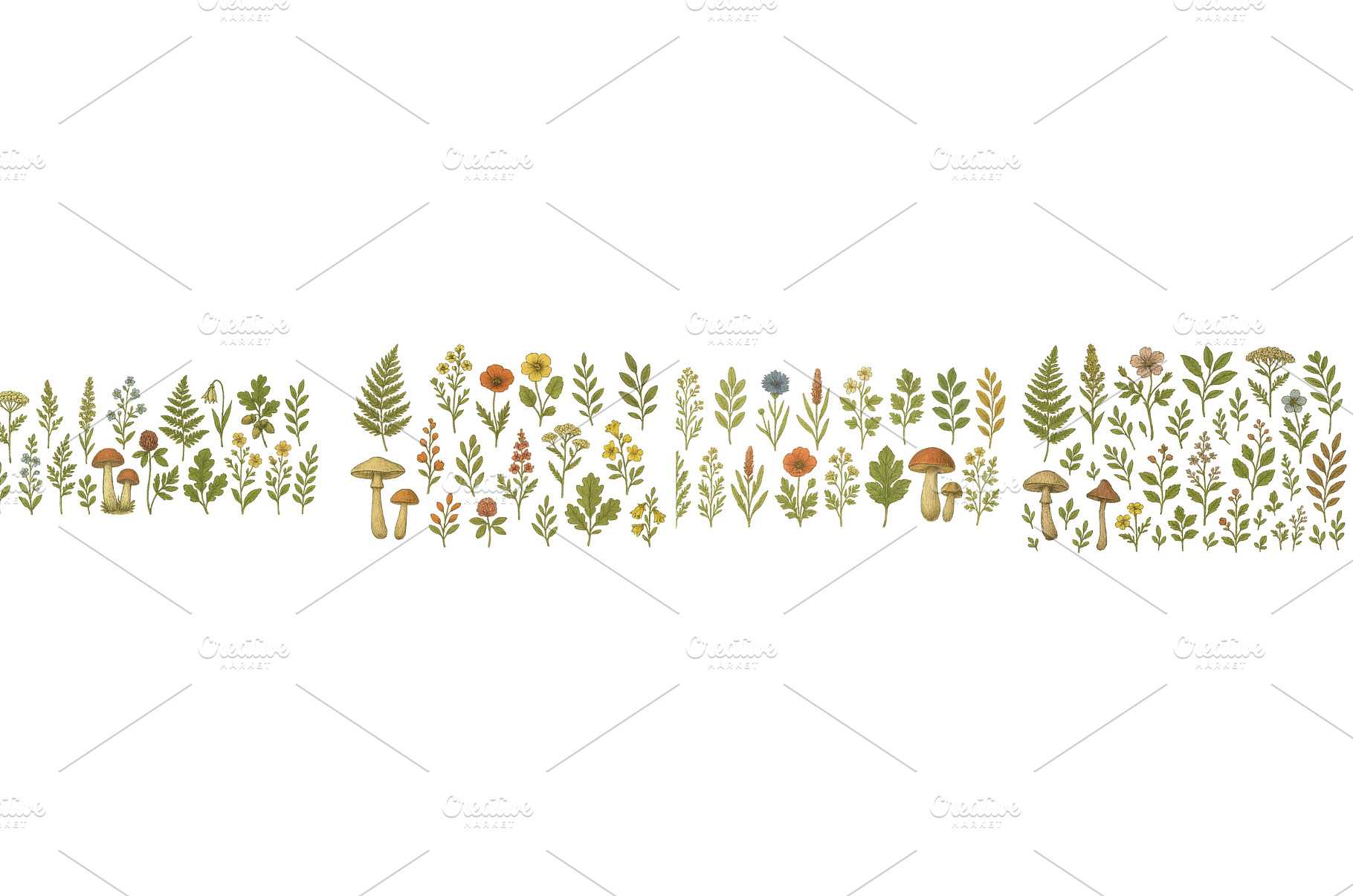 Beautiful botanical illustration of, a Nature Photo by ZinetroN