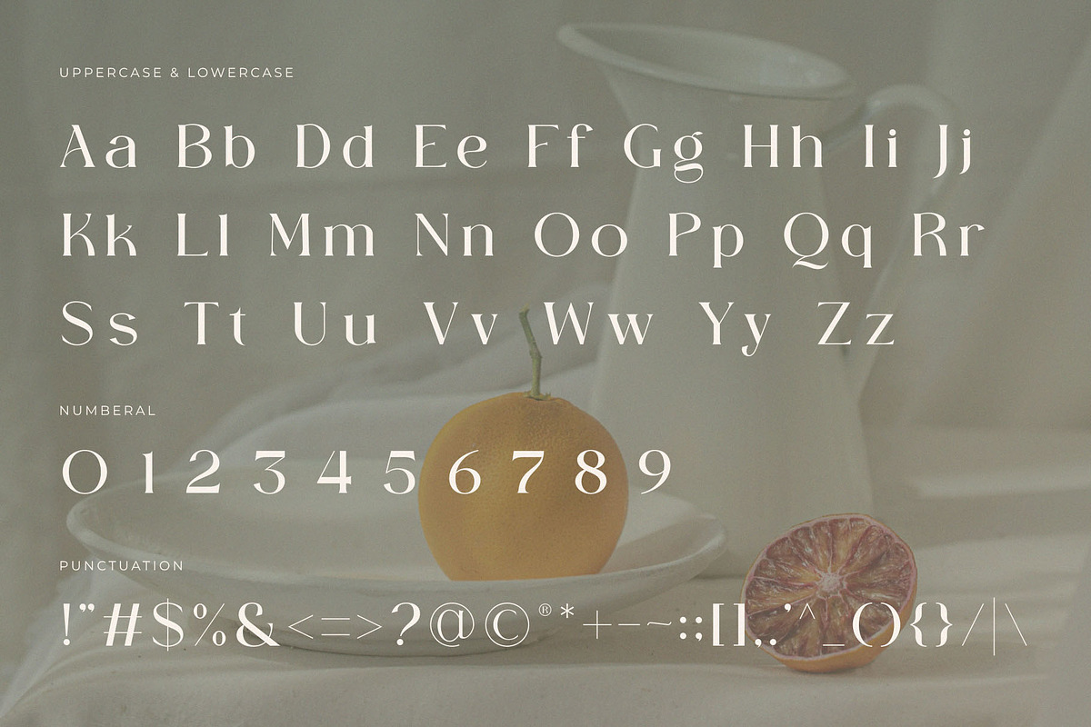 Becaose - Stylis Serif Typeface, a Serif Font by GridlineType (Photo 9 of 10)