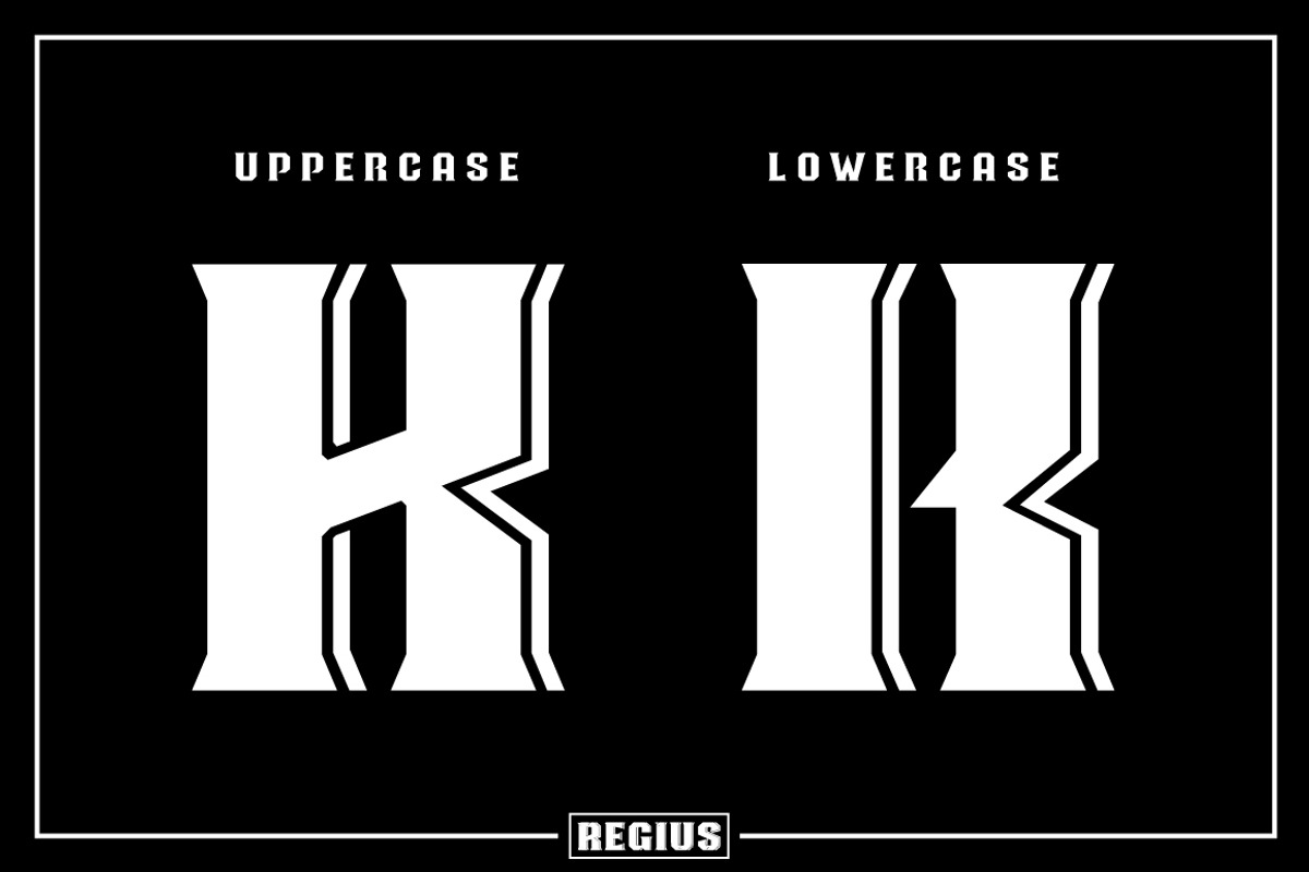 Regius Typeface, a Serif Font by Jan-Christian Bruun (Photo 9 of 12)