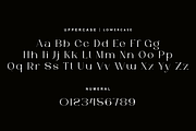 Gefars - Modern Ligature Serif Font, a Serif Font by QR Design Studio (Thumbnail 8 of 14)