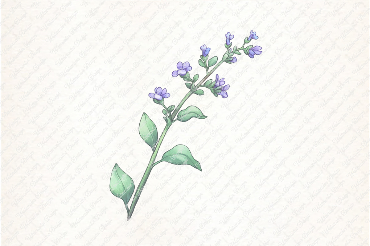 Wild Floral Clipart, Wild Floral png, an Illustration by Watercolor design (Photo 7 of 12)