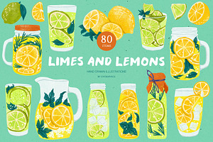 Limes and Lemons Illustrations, a Food Illustration by GVGraphics