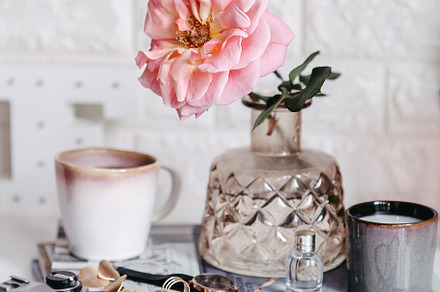 Pink rose in a vase stock photo containing rose and vase