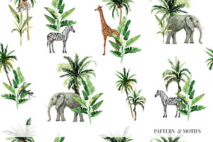 ANIMAL KINGDOM & Animals Patterns