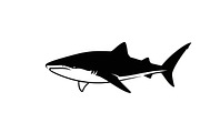Ocean Marine Animal Silhouette, an Illustration by Amazin_art (Thumbnail 6 of 31)