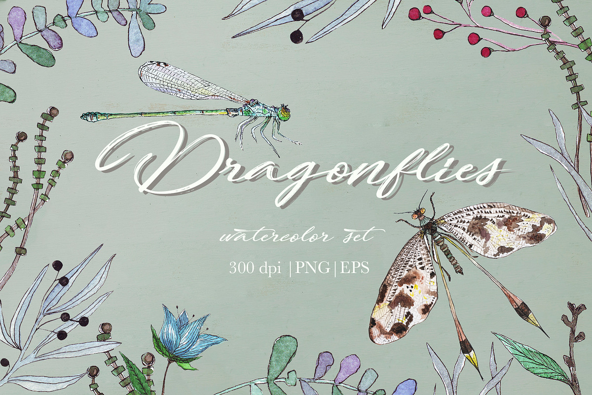 DRAGONFLIES. Watercolor clipart, an Illustration by digital_essence (Photo 1 of 10)