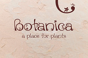 Xaver Nature Font, a Sans Serif Font by Xaver DesignStudio (Thumbnail 2 of 12)