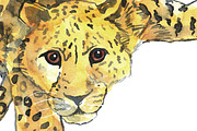 8 Cheetah Realistic Watercolor PNG, an Animal Illustration by LilyBoo Clipart (Thumbnail 2 of 4)