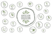 Ayurvedic Herb Collection, an Object Graphic by AV Design (Thumbnail 1 of 5)