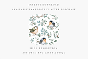 Robin Bird Seamless Pattern, an Illustration by Pati Charm Studio (Thumbnail 2 of 7)