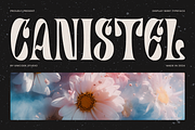 Canistel - Display Serif Font, a Serif Font by Unicode Studio (Thumbnail 2 of 13)