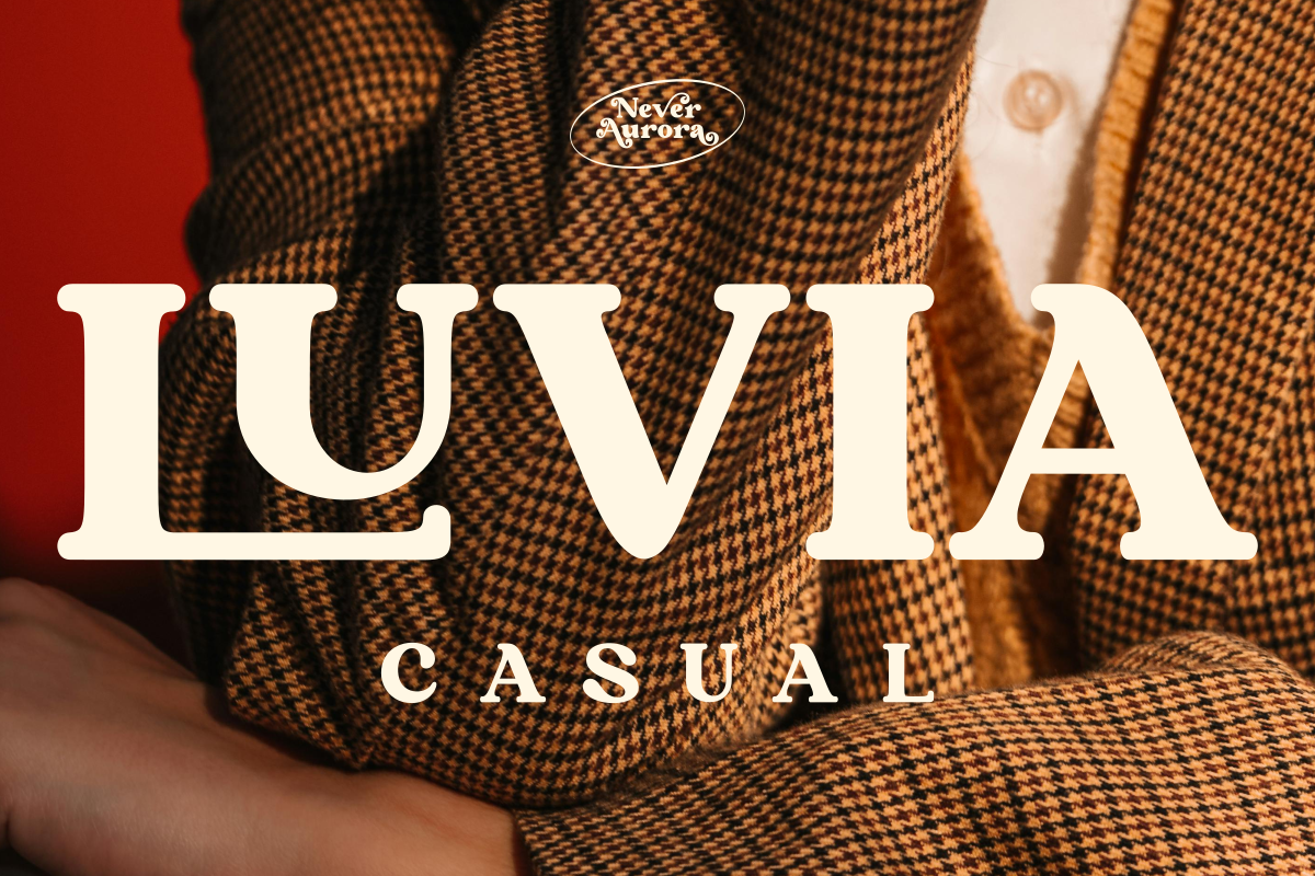 Never Aurora, a Serif Font by zaaintype (Photo 2 of 11)