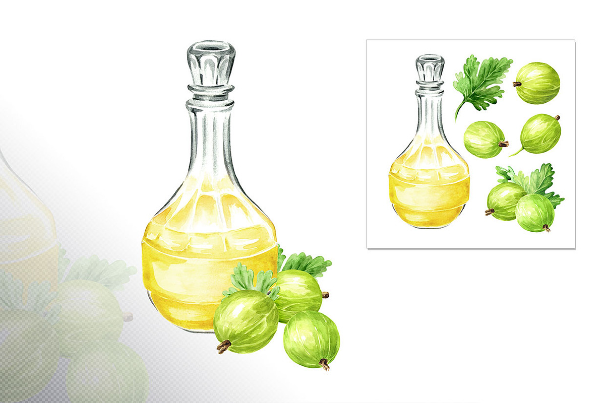 Amber Gooseberry. Watercolor set, a Food Illustration by Daria Ustiugova (Photo 17 of 23)