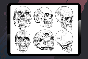 Procreate - Human Skulls Stamps