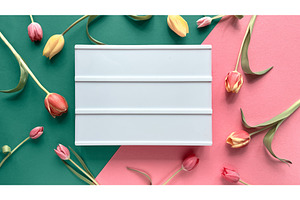 White rectangular board surrounded, a Photo by tilialucida