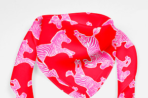 Preppy Pink And Red Zebra Pattern