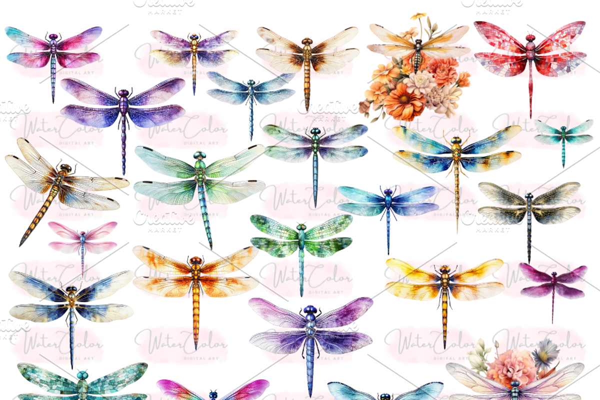The Dragon Fly Collection Clipart, an Animal Illustration by Watercolor Digital (Photo 8 of 20)