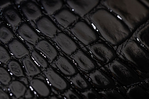 black polished leather dyed black with embossed crocodile leather, a Photo by rsoollAI