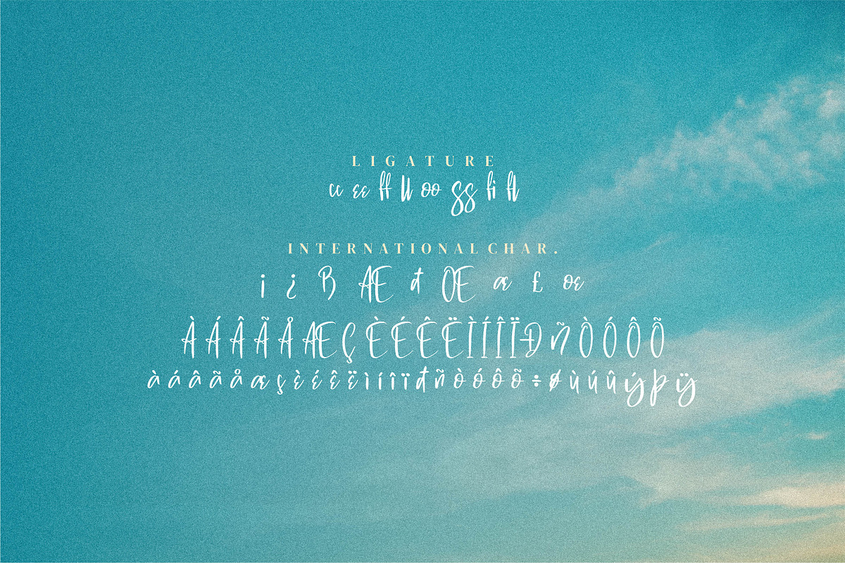 Swite Brush, a Script Font by Integritype Studio (Photo 5 of 6)