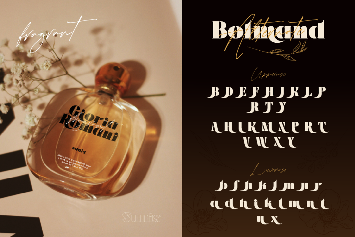 Bolmand Signature, a Serif Font by Burntilldead (Photo 5 of 12)
