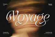 LT Rogile - Modern Serif Typeface, a Serif Font by Luminotype (Thumbnail 13 of 20)
