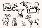 Farm Animals Collection 34 arts, a Graphic by IPVector (Thumbnail 6 of 7)
