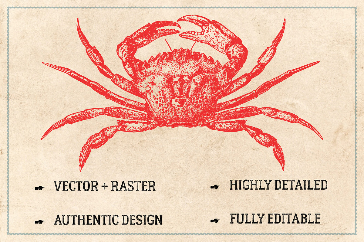 154 Vintage Sea Illustrations, an Animal Illustration by Brigantine Designs (Photo 2 of 10)