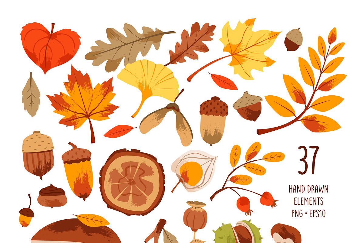 Autumn Forest Clipart Bundle, a Seasonal Illustration by vik.stock (Photo 2 of 5)