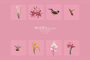 Garden Geometry Seamless Patterns, a Pattern Graphic by LEAFure (Thumbnail 5 of 11)