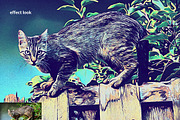 Smart Painting, an Action Add-On by MRI STUDIO (Thumbnail 9 of 12)