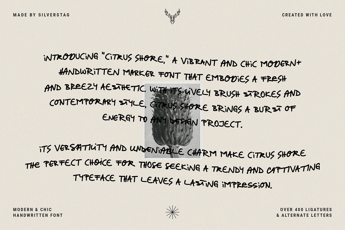 Citrus Shore - Playful Marker Font, a Handwritten Font by SilverStag Type Foundry (Photo 13 of 15)