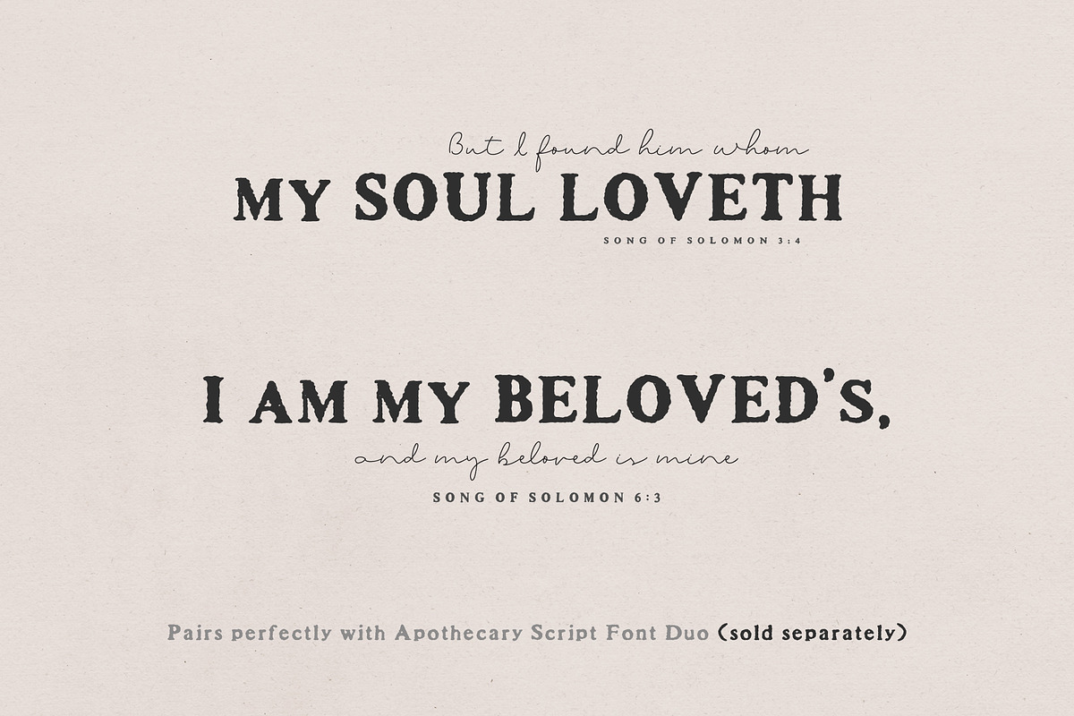 Apothecary Serif Font Collection, a Serif Font by pixelcolours (Photo 8 of 14)