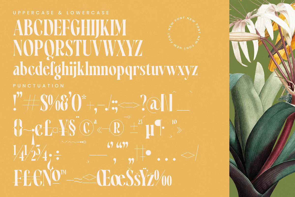Qastife Elegant Display Serif, a Serif Font by timelesstype.co (Photo 18 of 20)